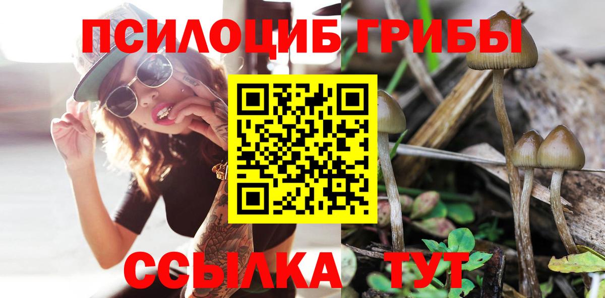 Псилоцибиновые грибы GOLDEN TEACHER Татарск