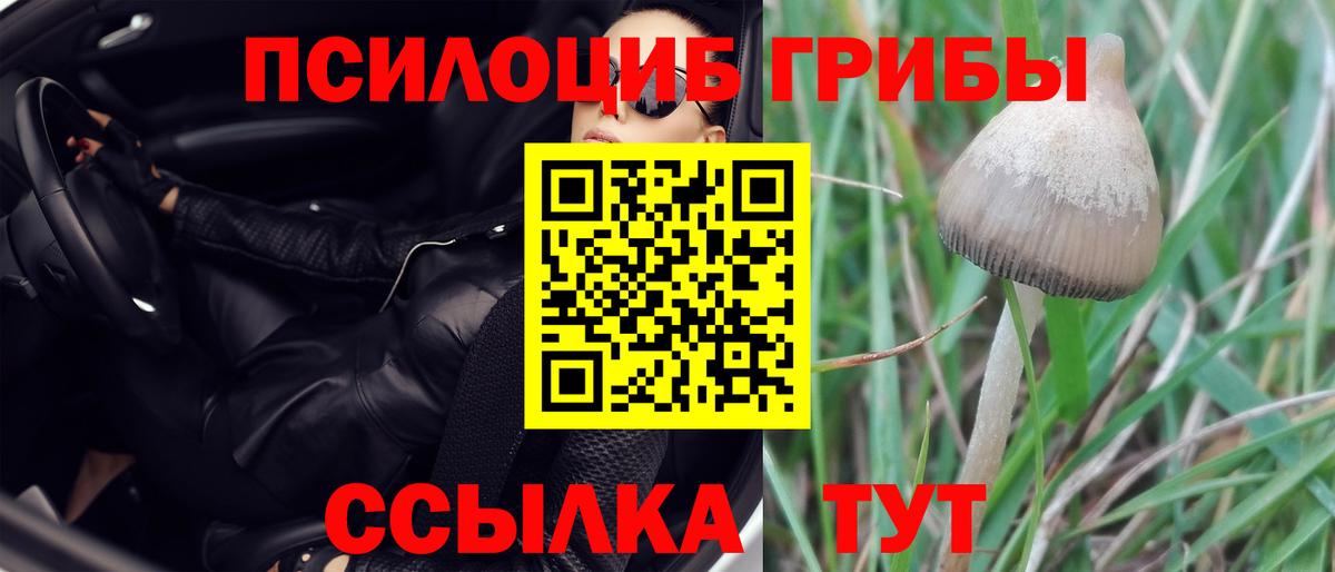 Псилоцибиновые грибы мицелий  Вход с VPN  Татарск 